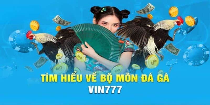 đá gà Vin777